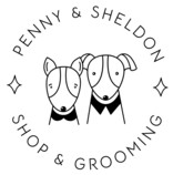  ( , , ) Penny&Sheldon