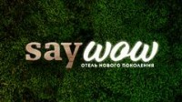  ( , , )  SAY WOW