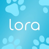 ( , , )    LORA