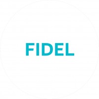  ( , , ) FIDEL
